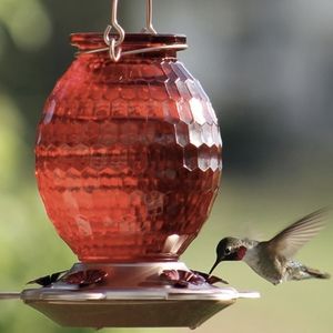 *NWT* Classic Brands More Birds Hummingbird Feeder